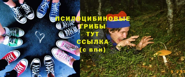 стаф Алексин