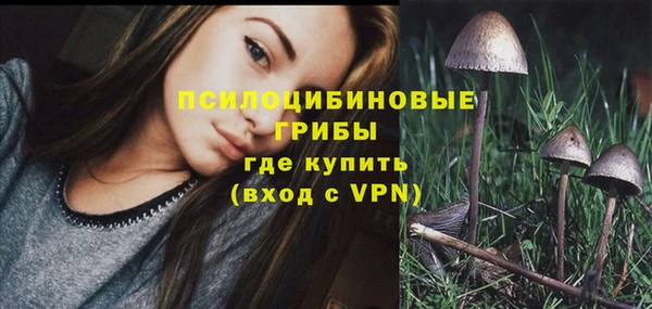 бутират Алзамай