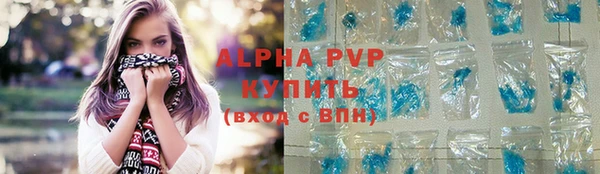 стаф Алексин